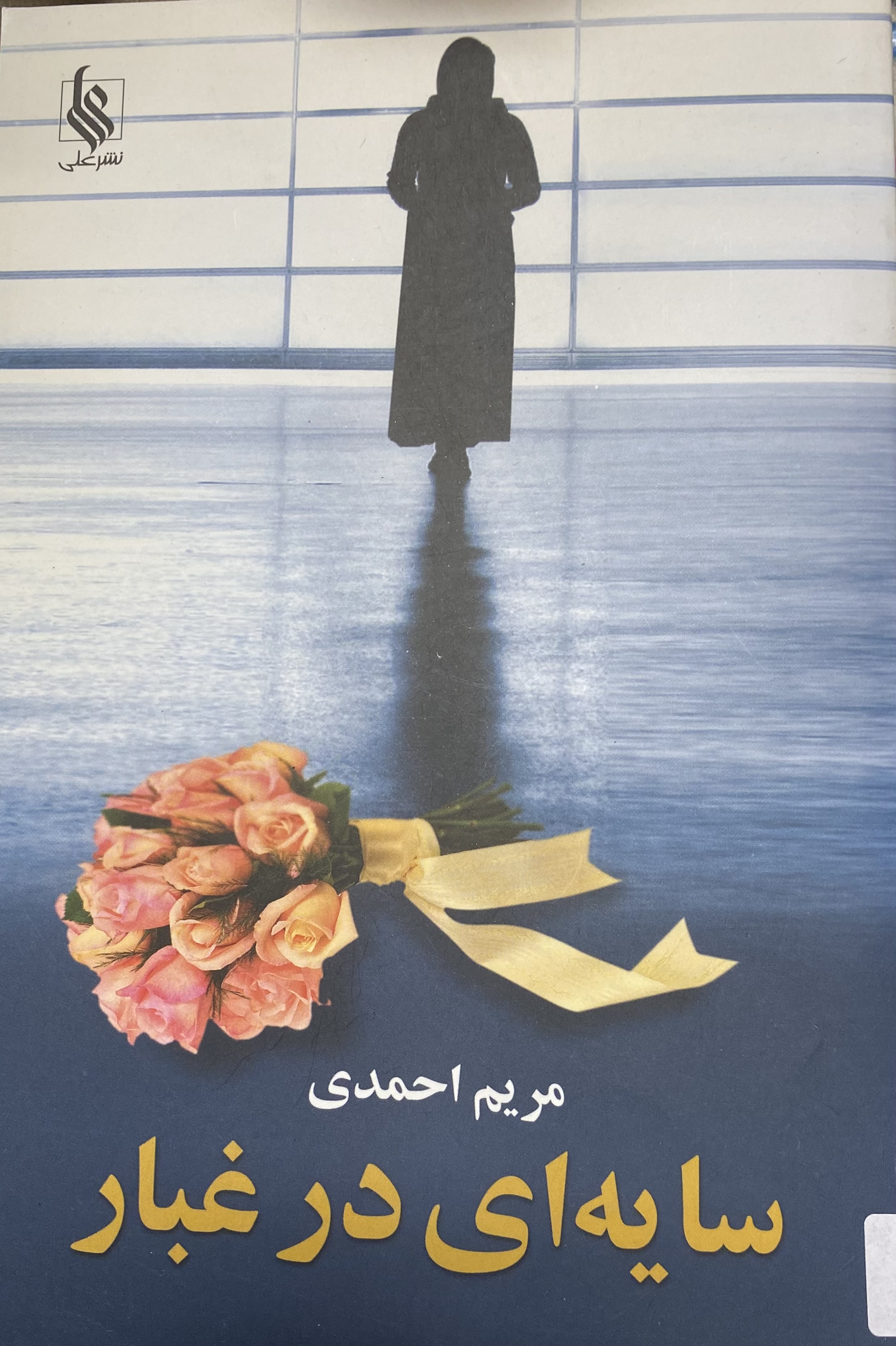 سایه ای در غبار