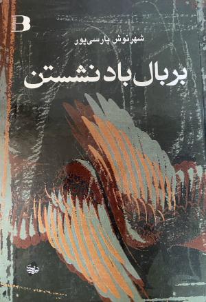بر بال باد نشستن