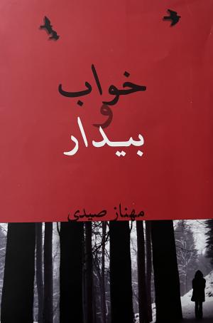 خواب و بیدار