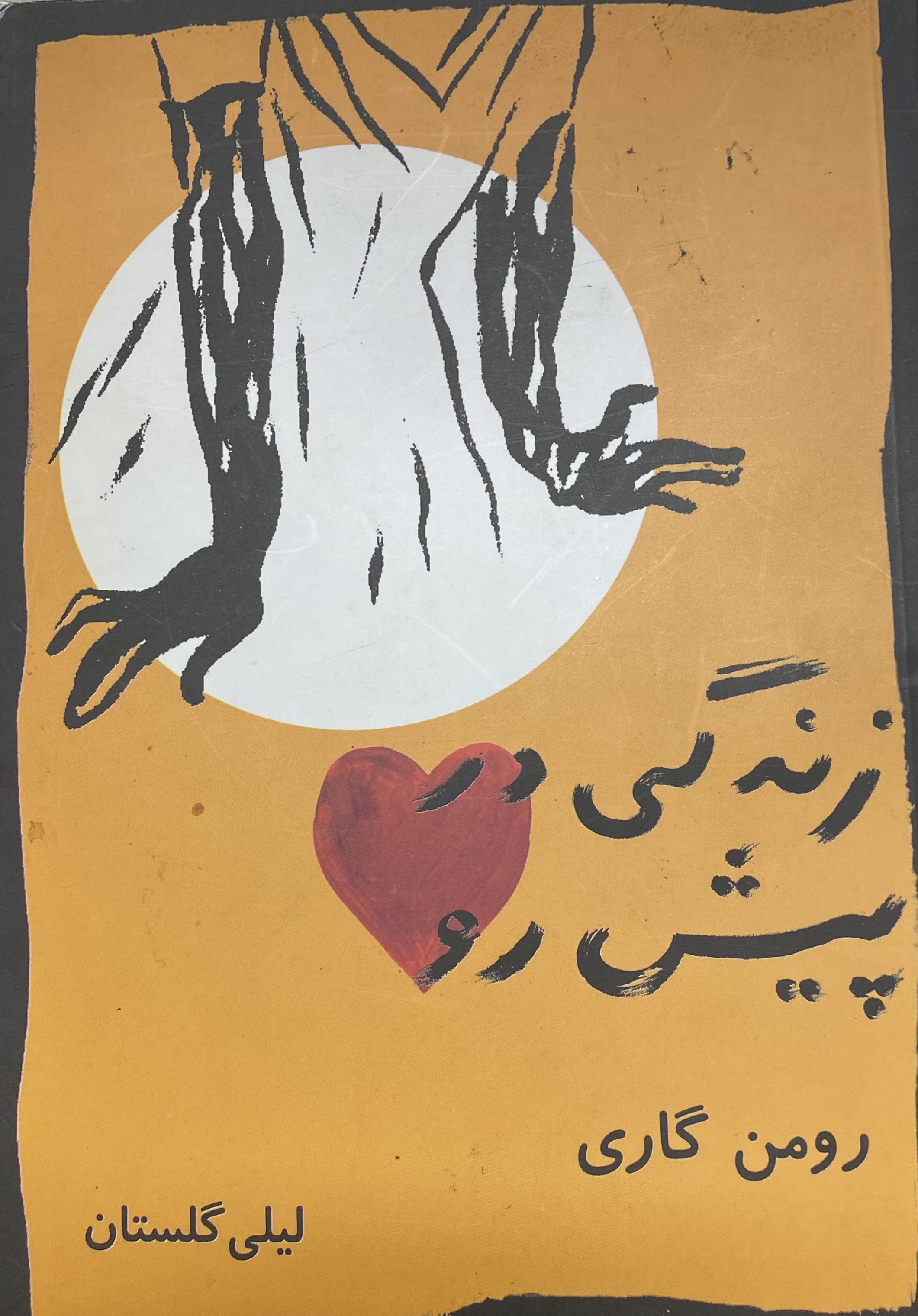 زندگی در پیش رو