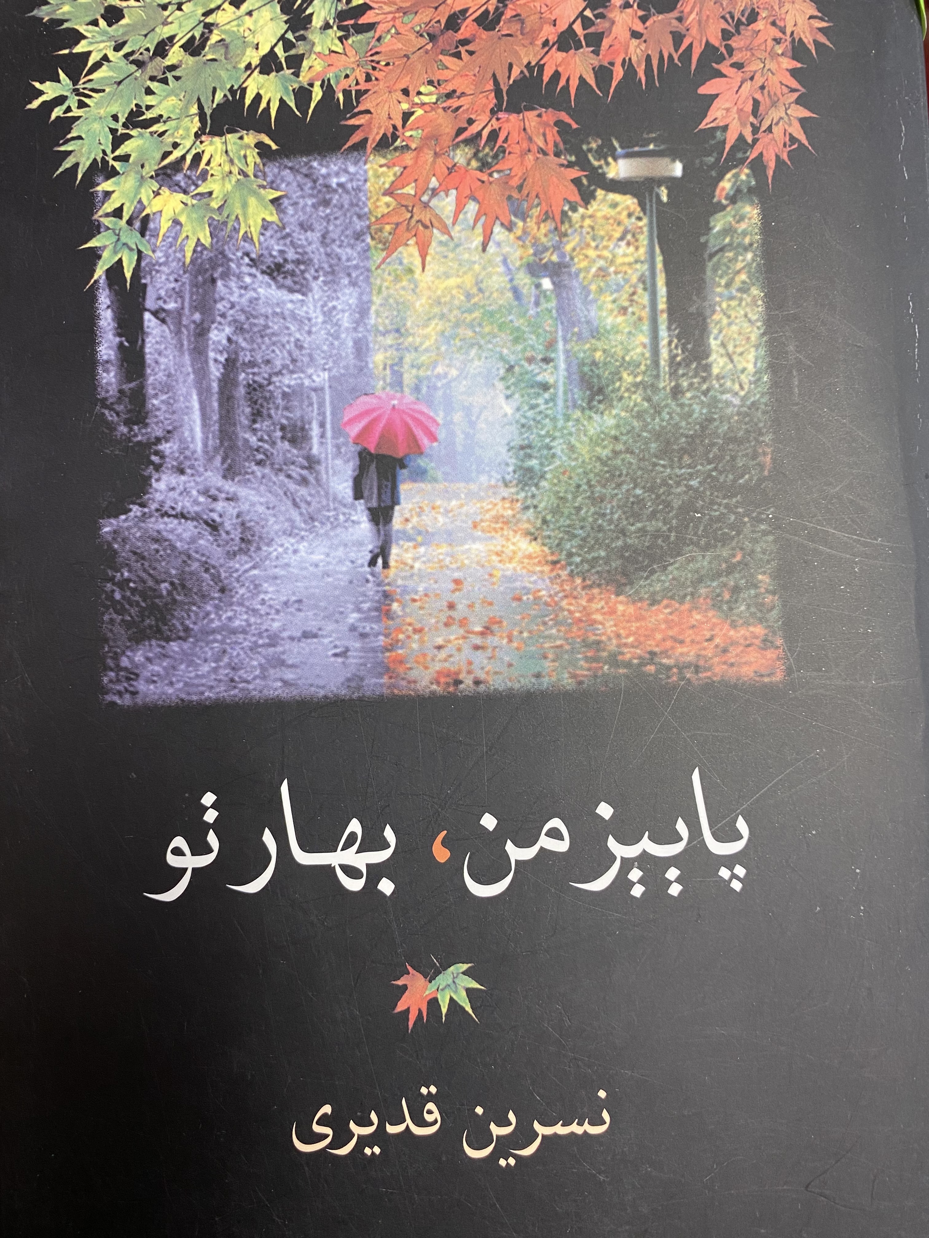 پاییز من، بهار تو