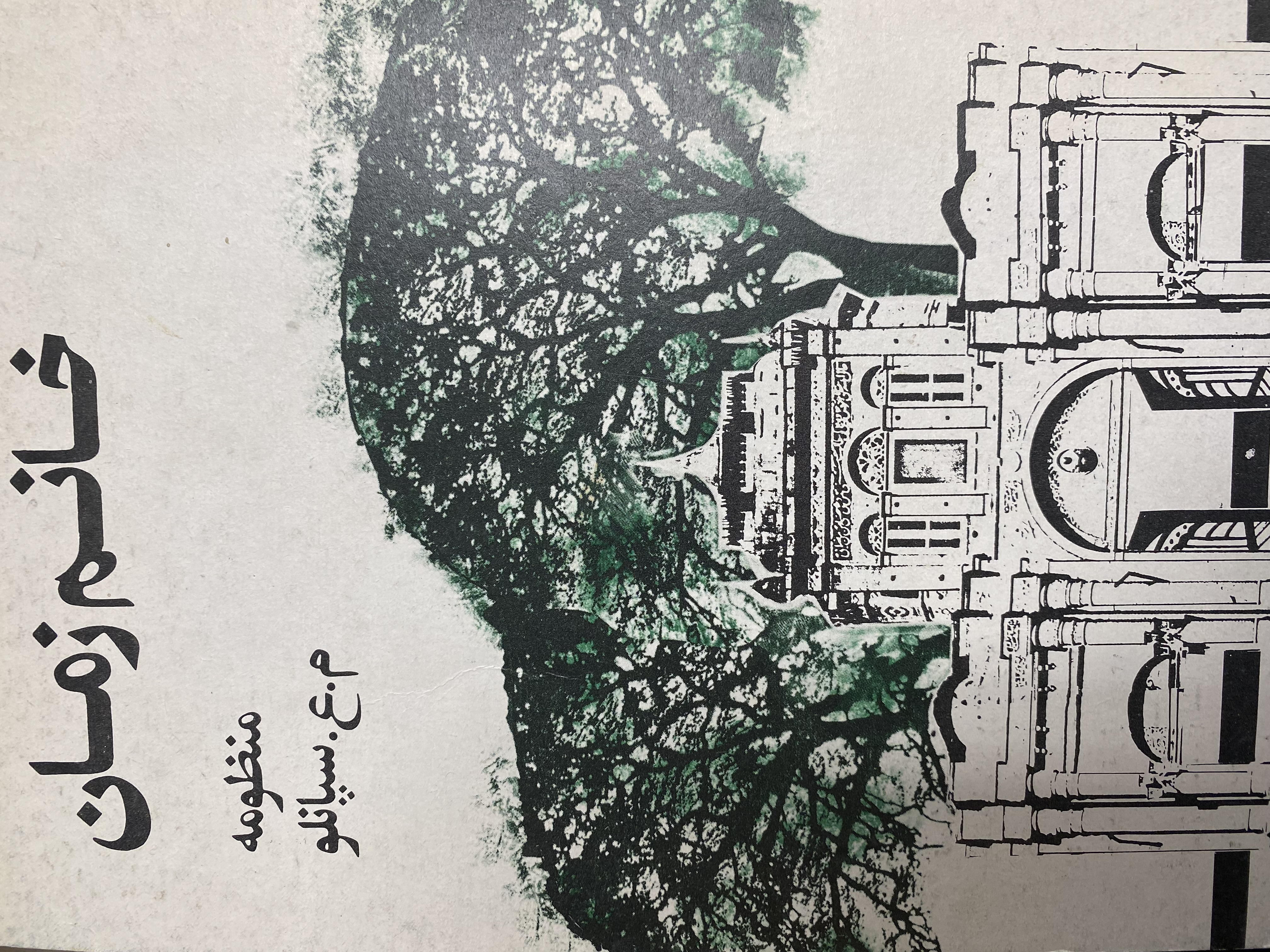 خانم زمان