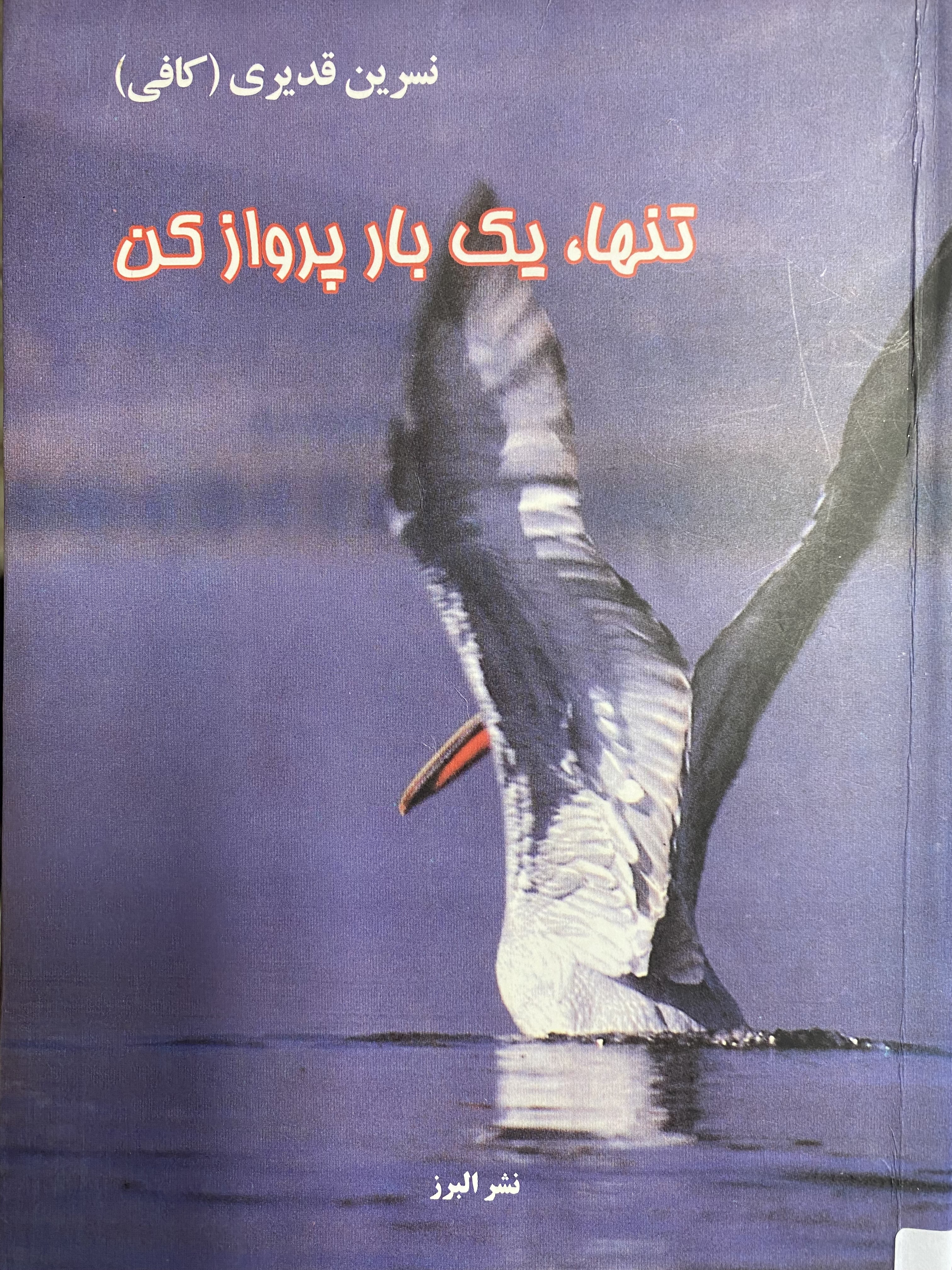 تنها، یک بار پرواز کن