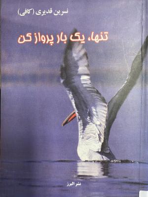 تنها، یک بار پرواز کن