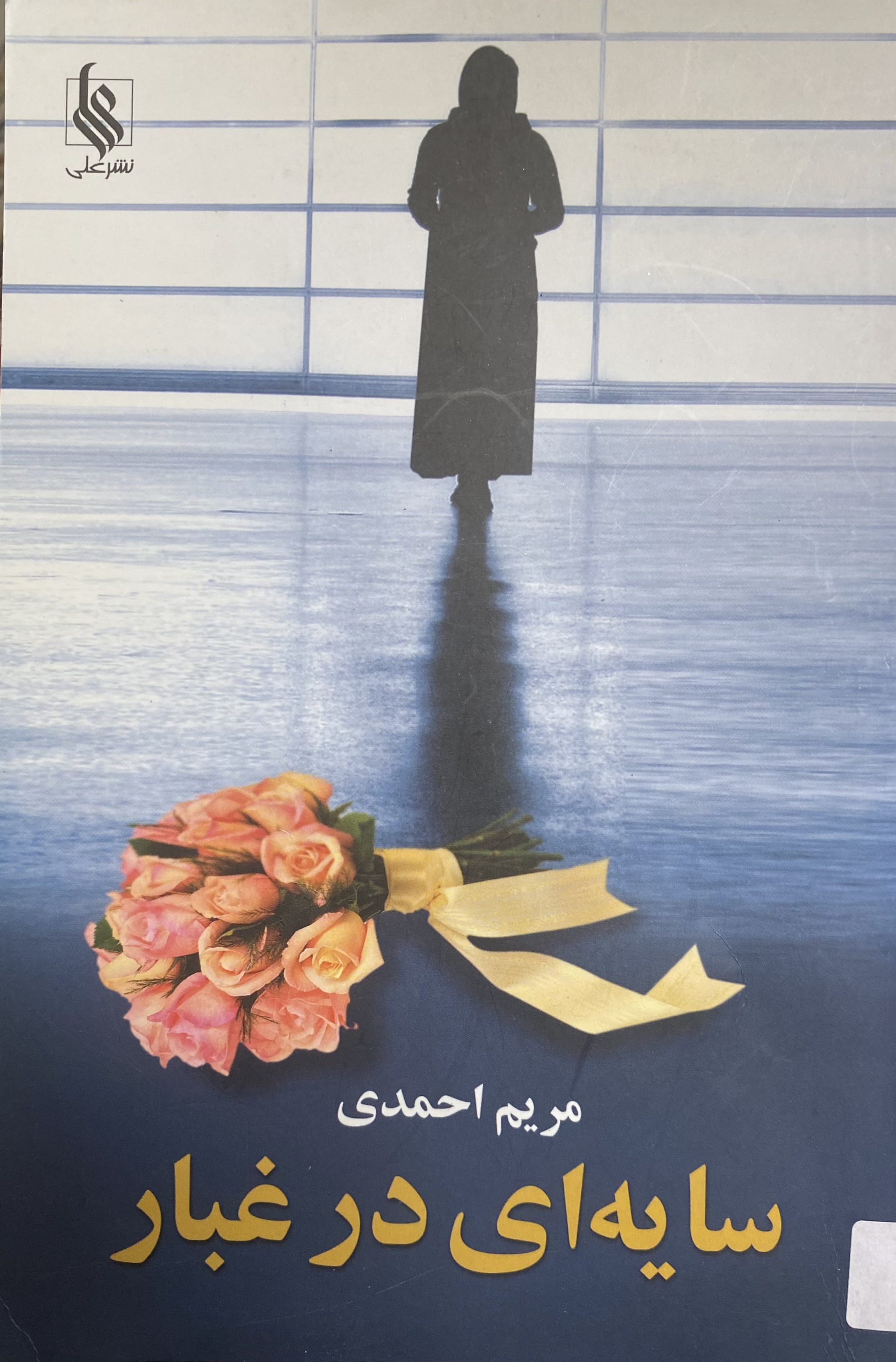 سایه ای در غبار