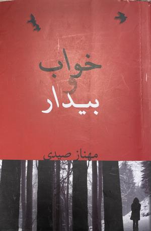 خواب و بیدار