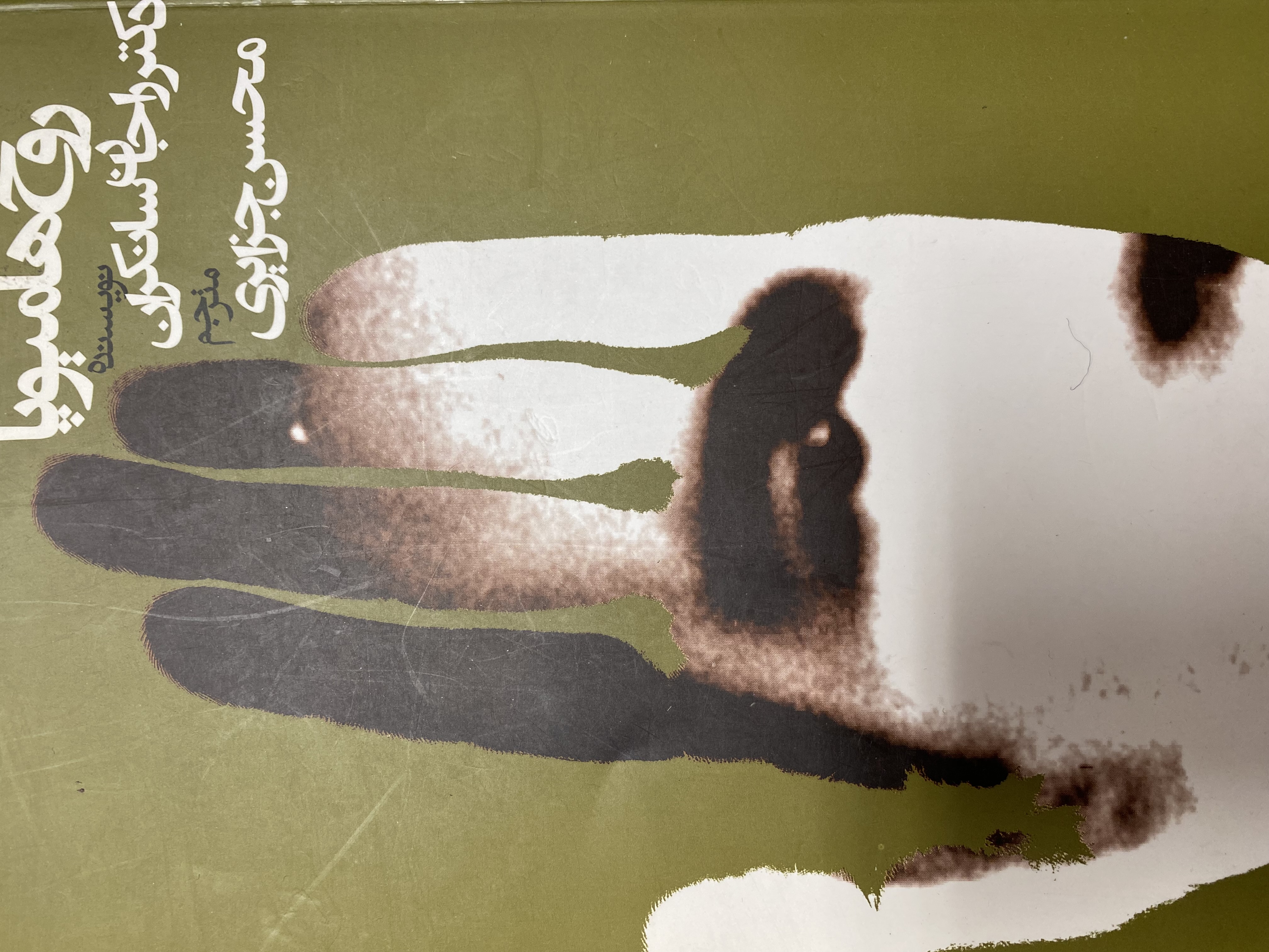 روح هامیوپا