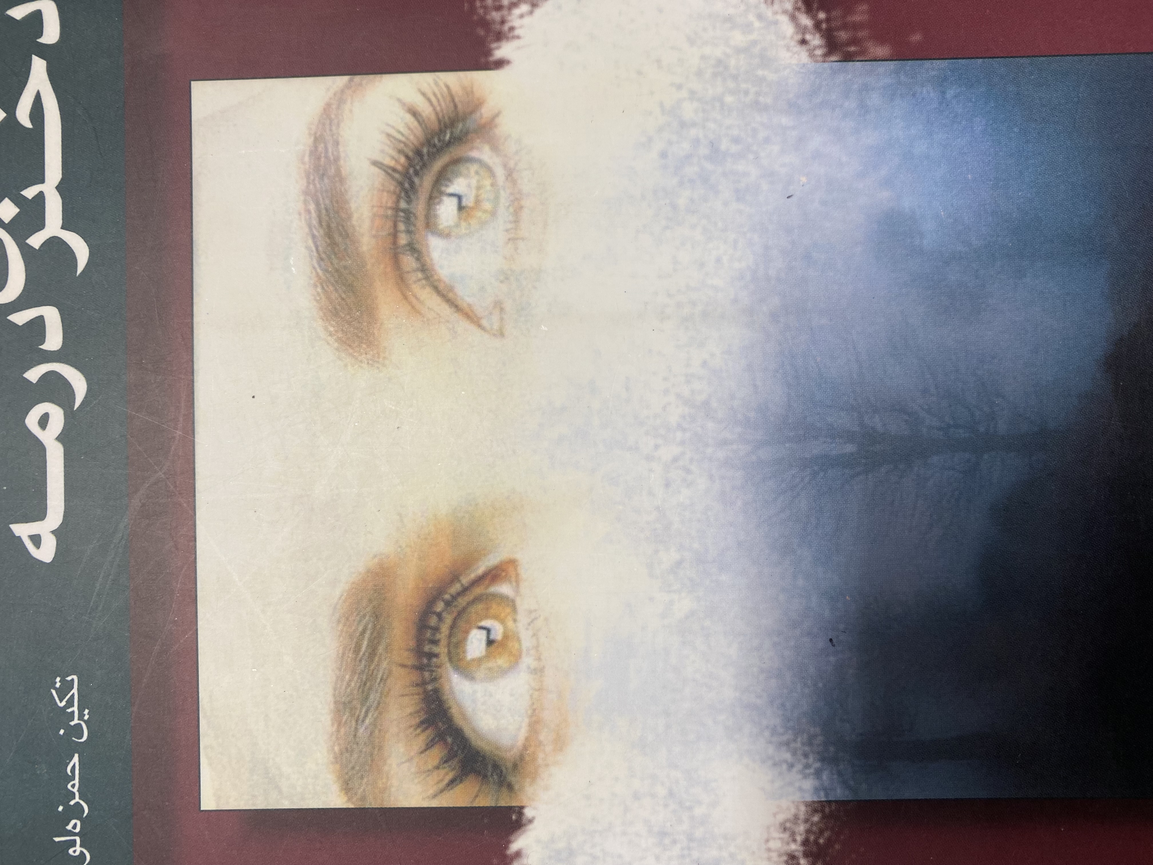 دختری در مه