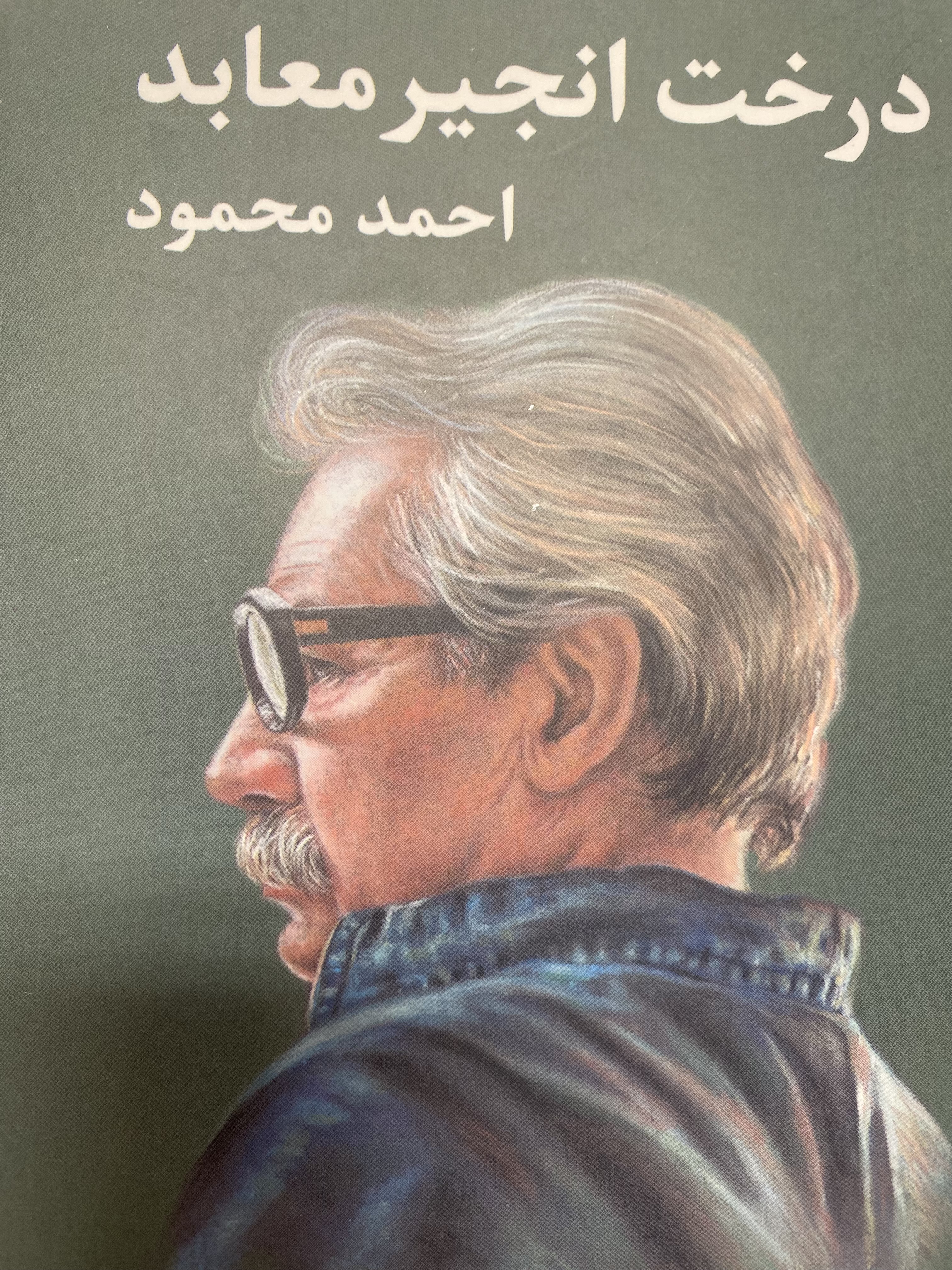 درخت انجیر معابد