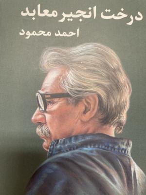 درخت انجیر معابد