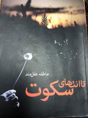 تا انتهای سکوت