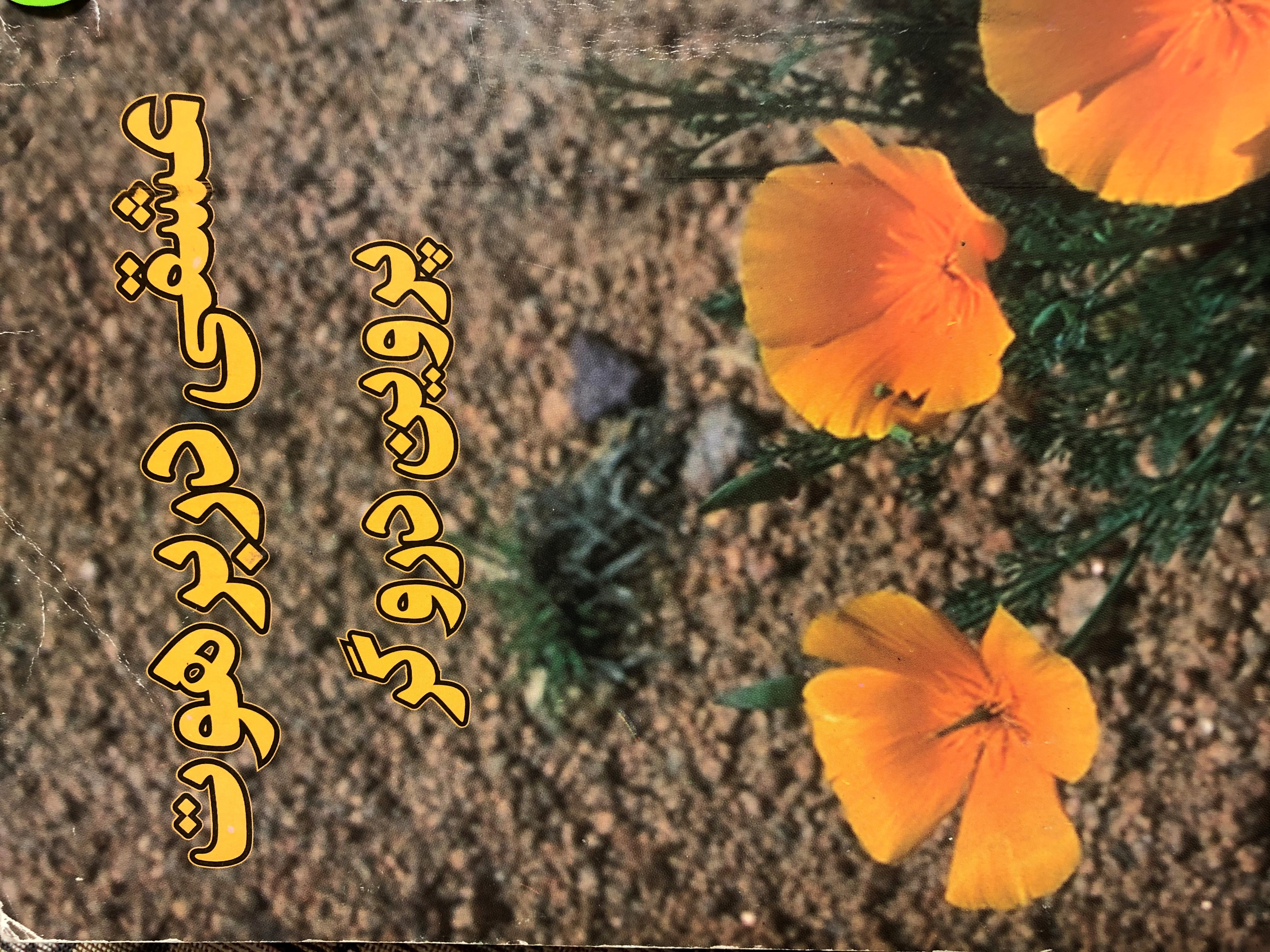 عشقی در برهوت