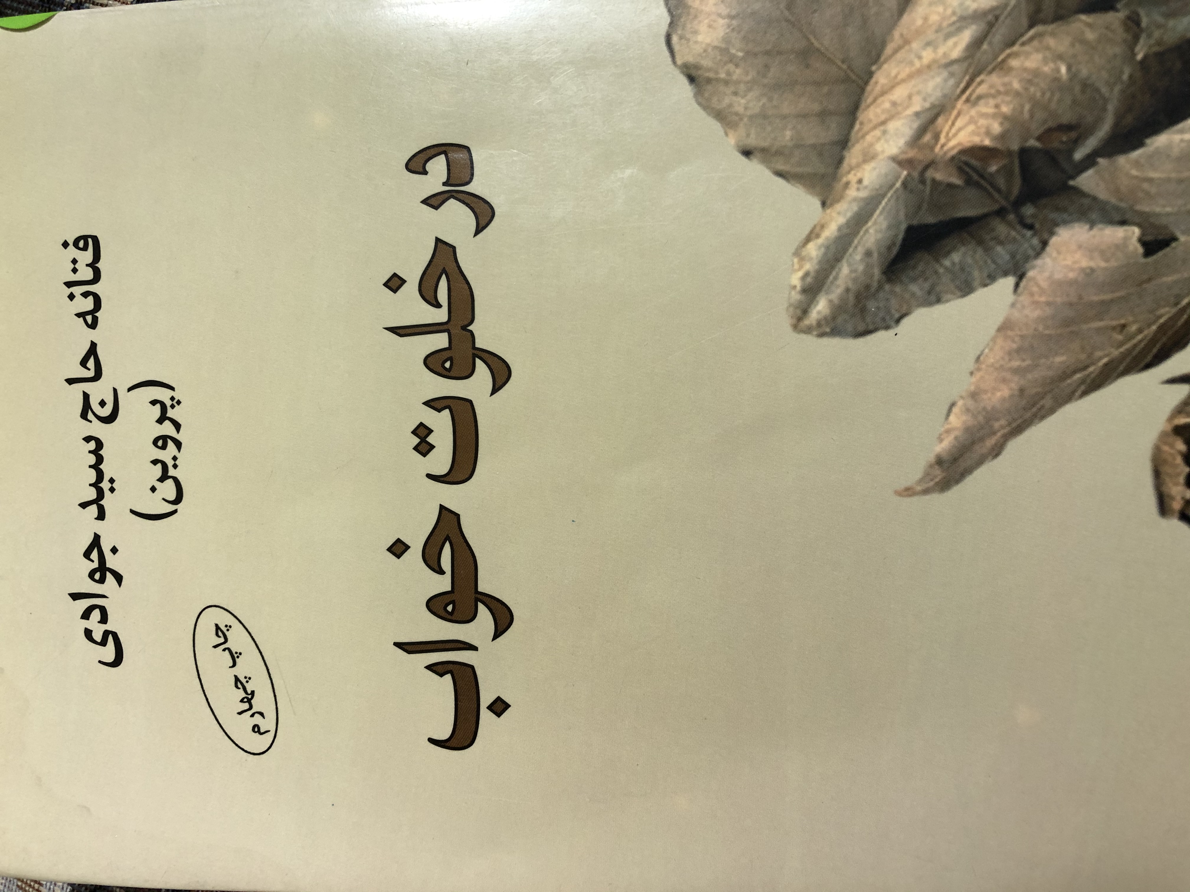 در خلوت خواب