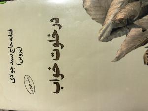 در خلوت خواب