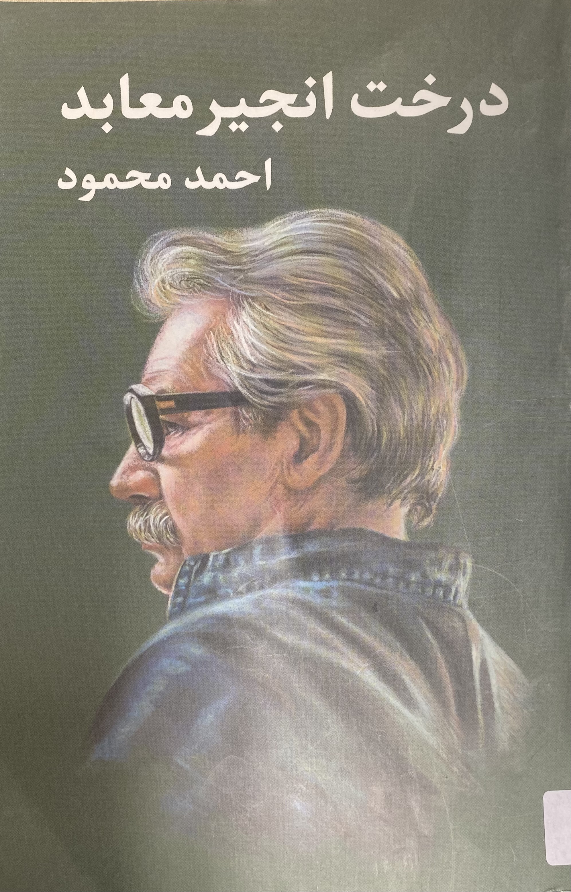 درخت انجیر معابد