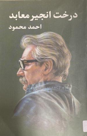 درخت انجیر معابد