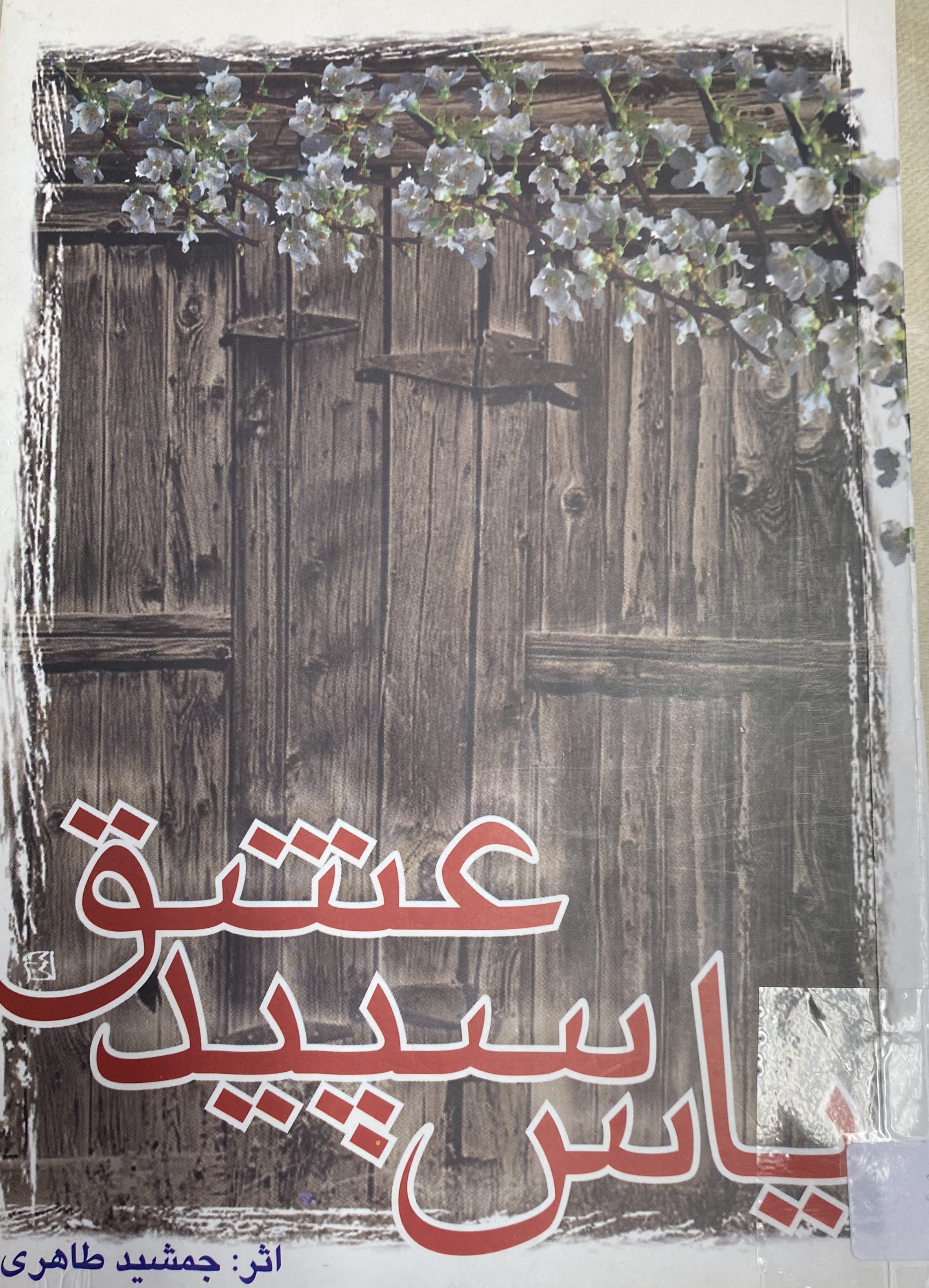 یاس سپید عشق