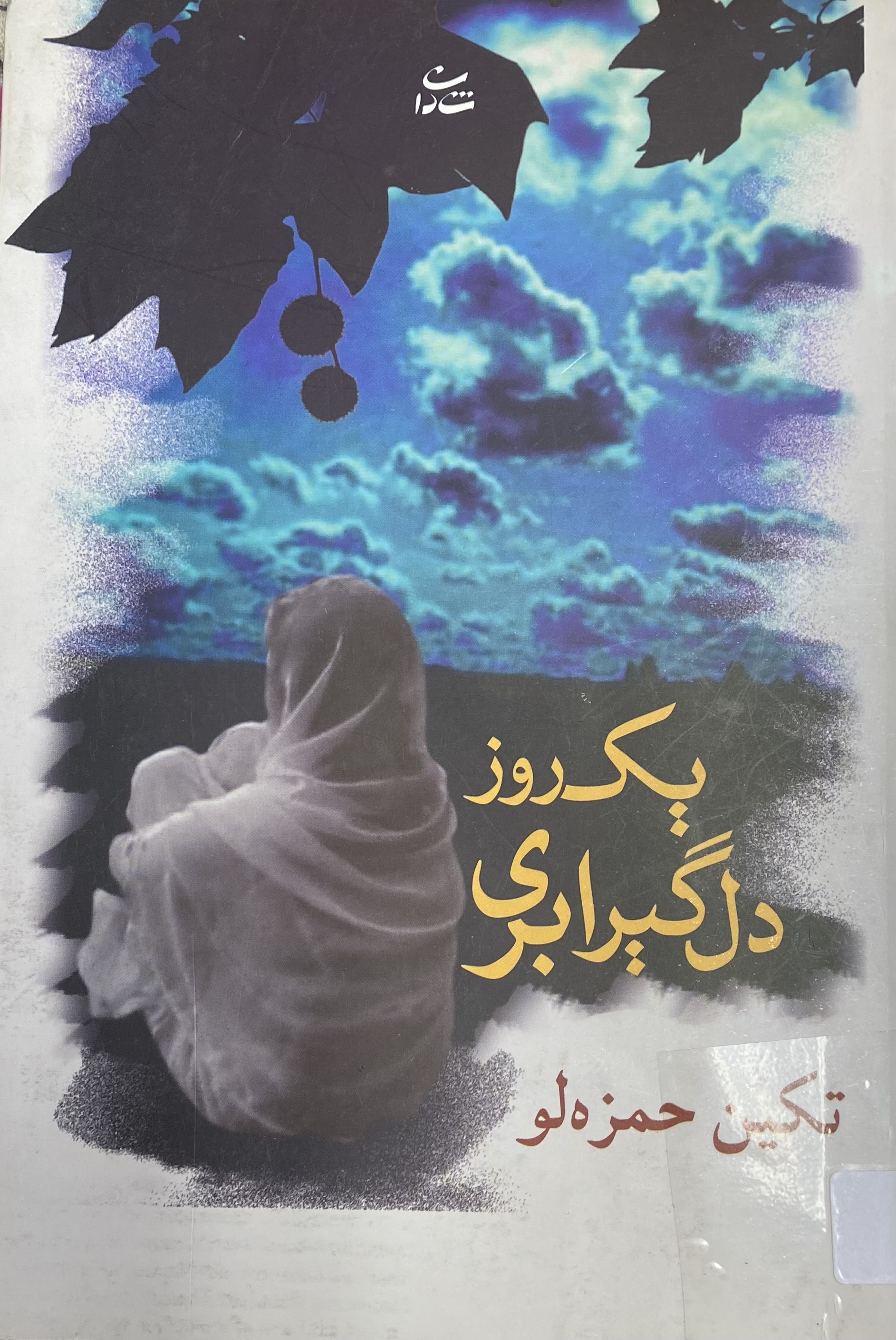 یک روز دل گیر ابری