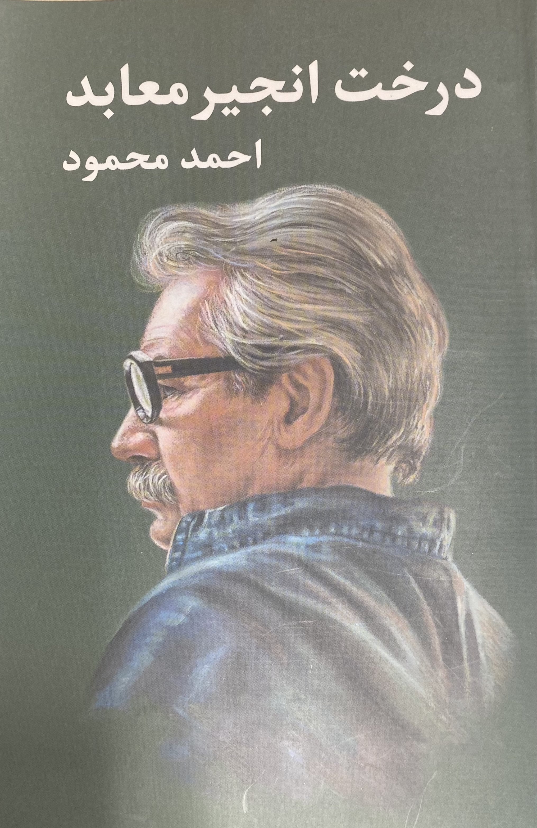 درخت انجیر معابد