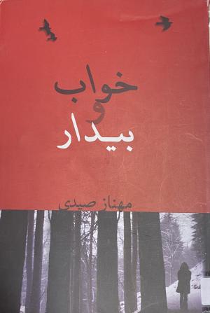 خواب و بیدار