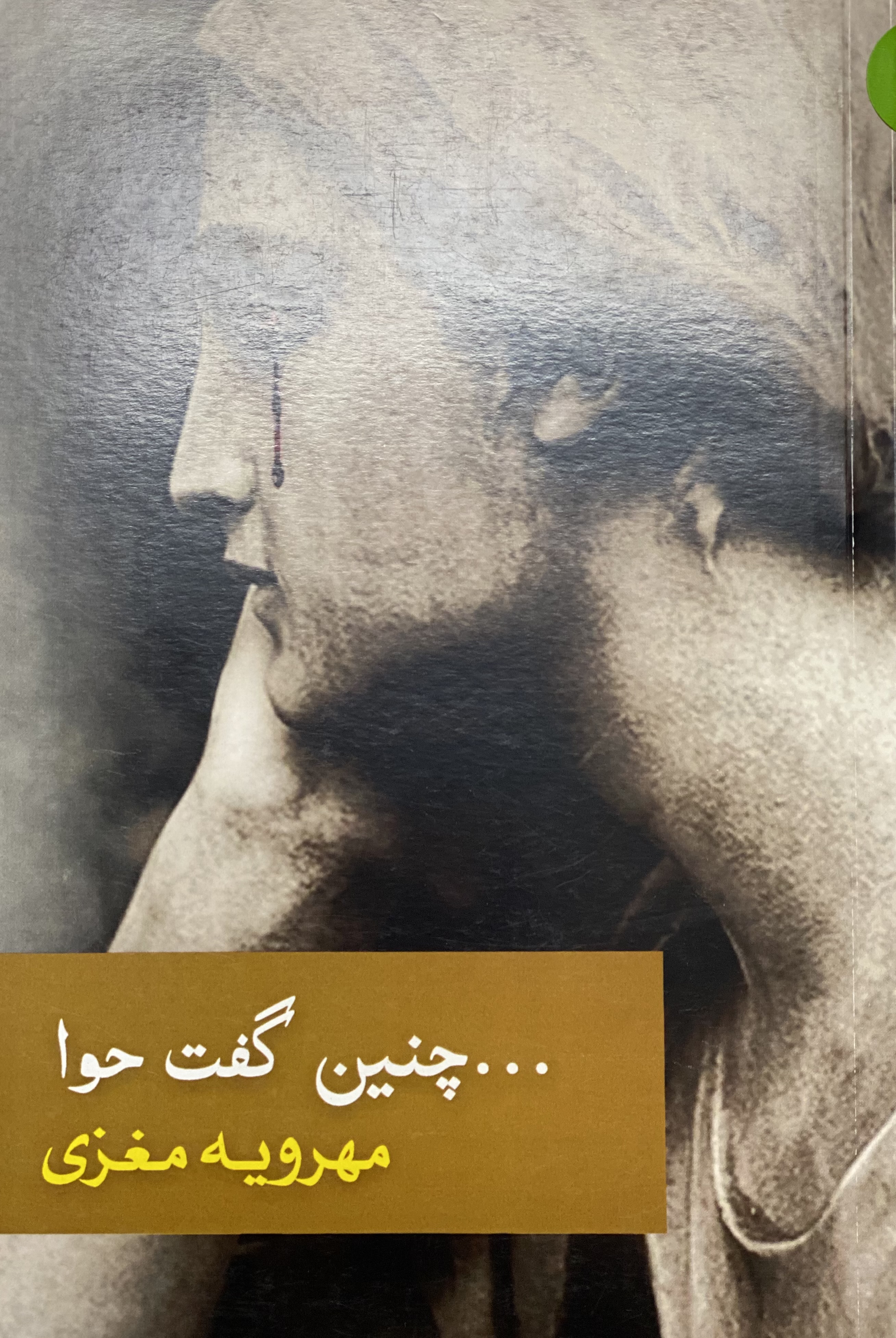 چنین گفت حوا